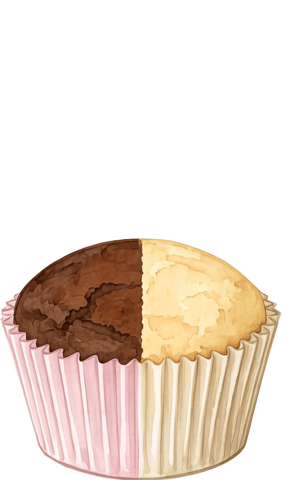 Half and half cupcake base